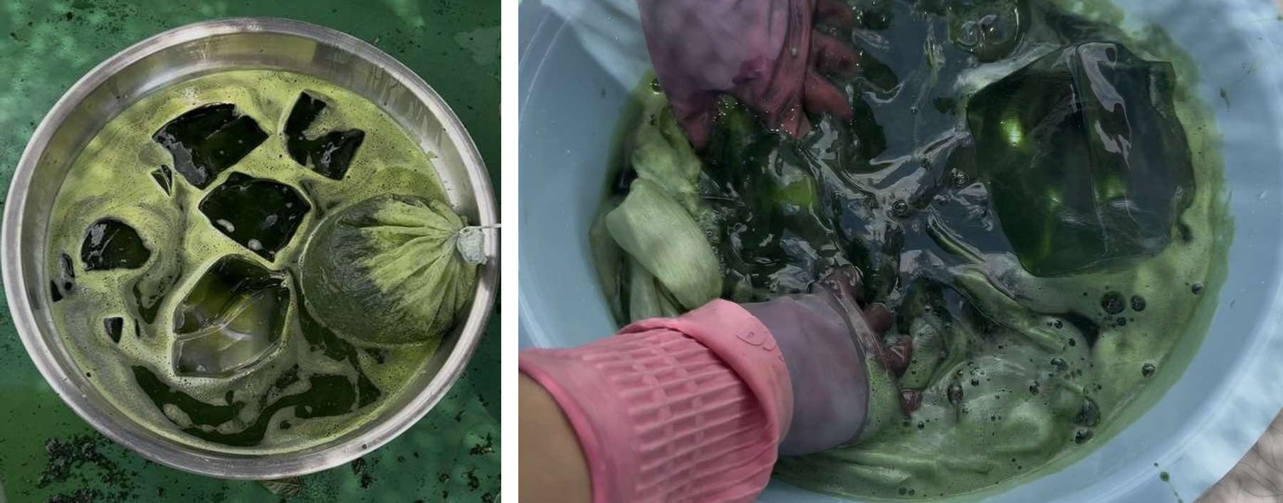 얼음을 활용한 현대 쪽즙 제조와 염색 과정 — (좌) 분쇄한 쪽잎을 망에 거른뒤 얼음물 속에서 망을 주물러 생쪽즙 제조 / (우) 쪽즙에 곧바로 견직물을 넣고 염색하는 모습.