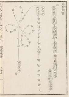 그림 1